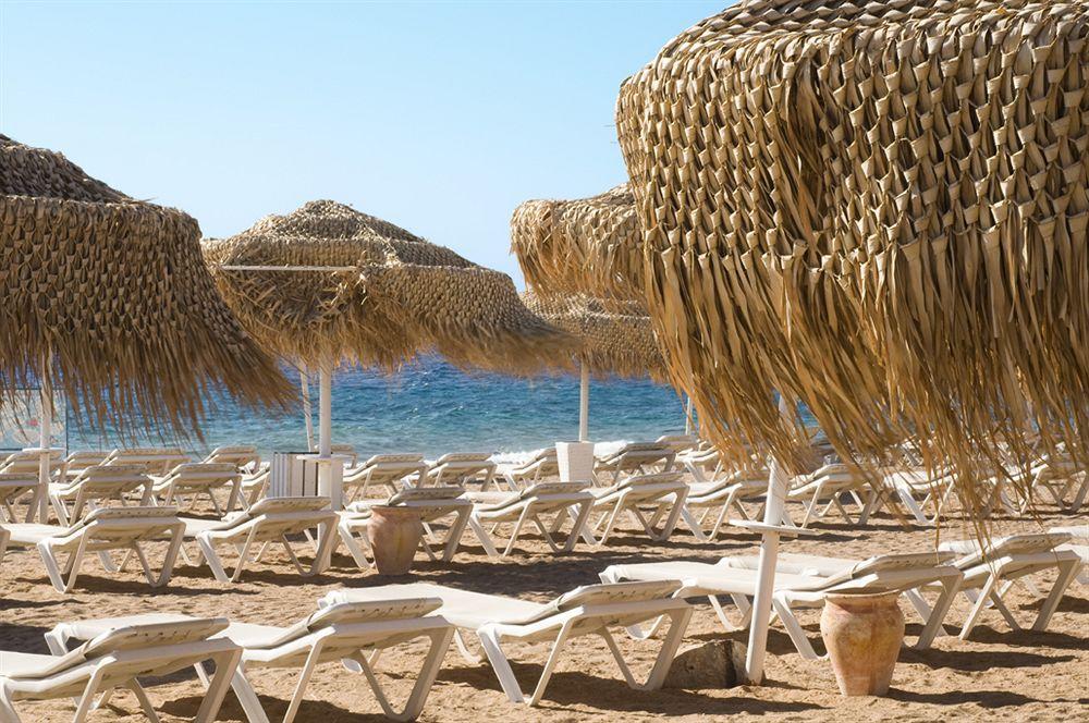 U Coral Club